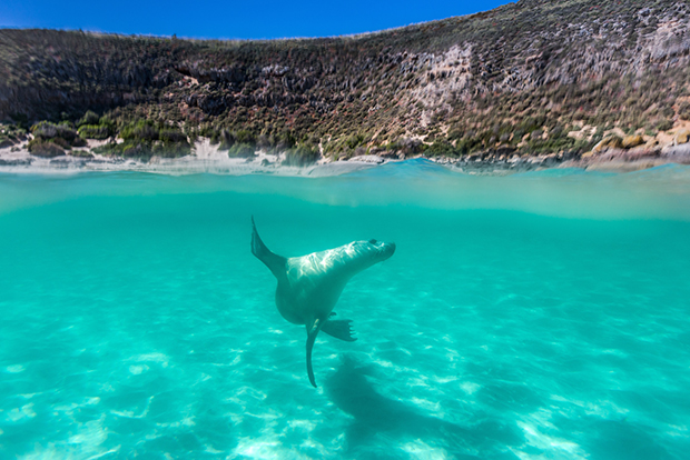 Eyre Peninsula - South Australia